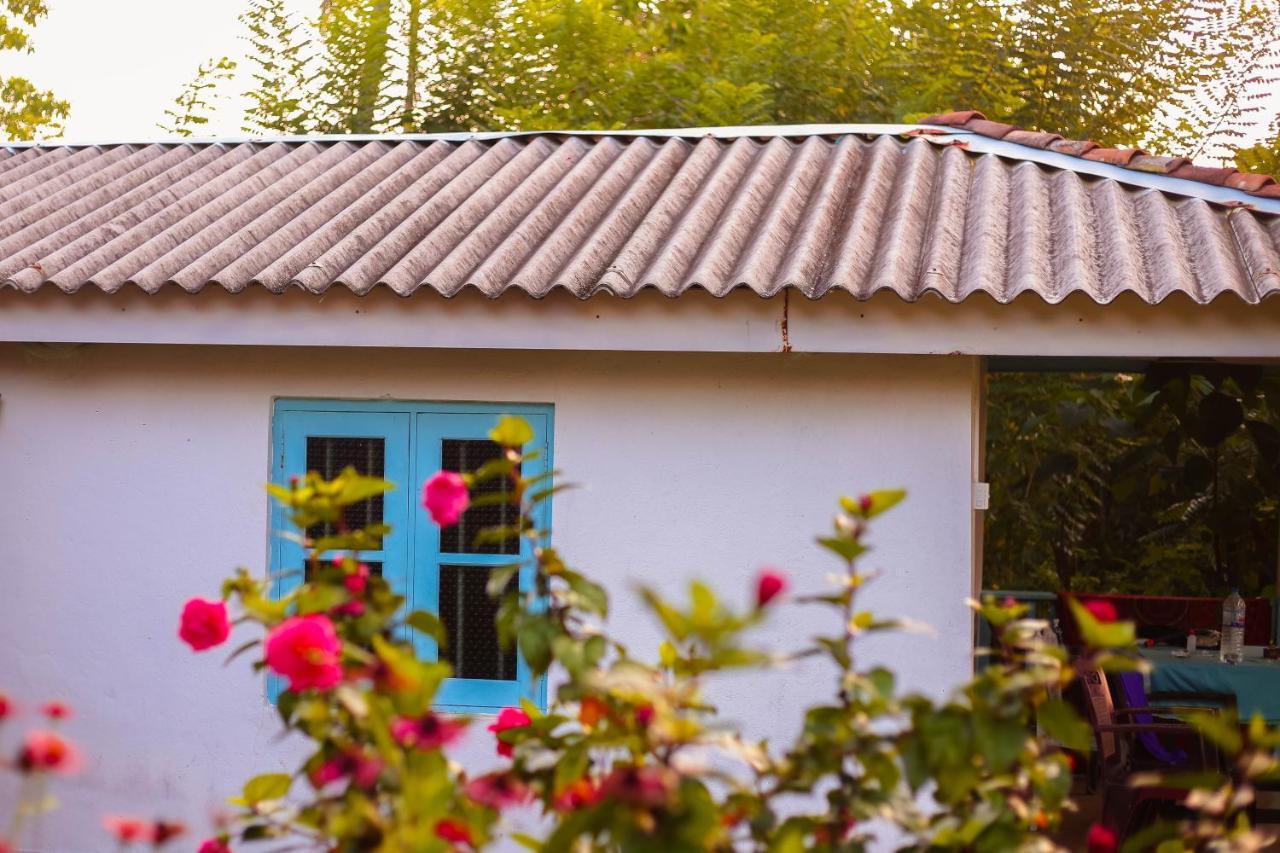 Tehan Homestay Dikwella Extérieur photo