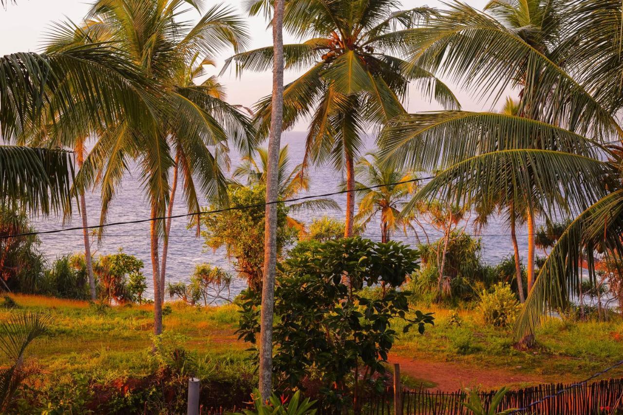 Tehan Homestay Dikwella Extérieur photo