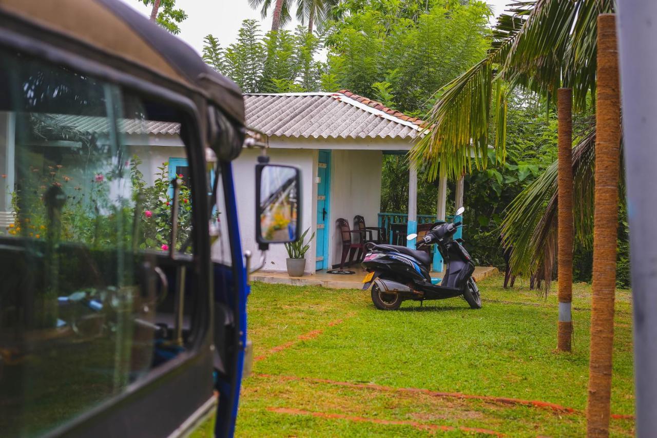 Tehan Homestay Dikwella Extérieur photo