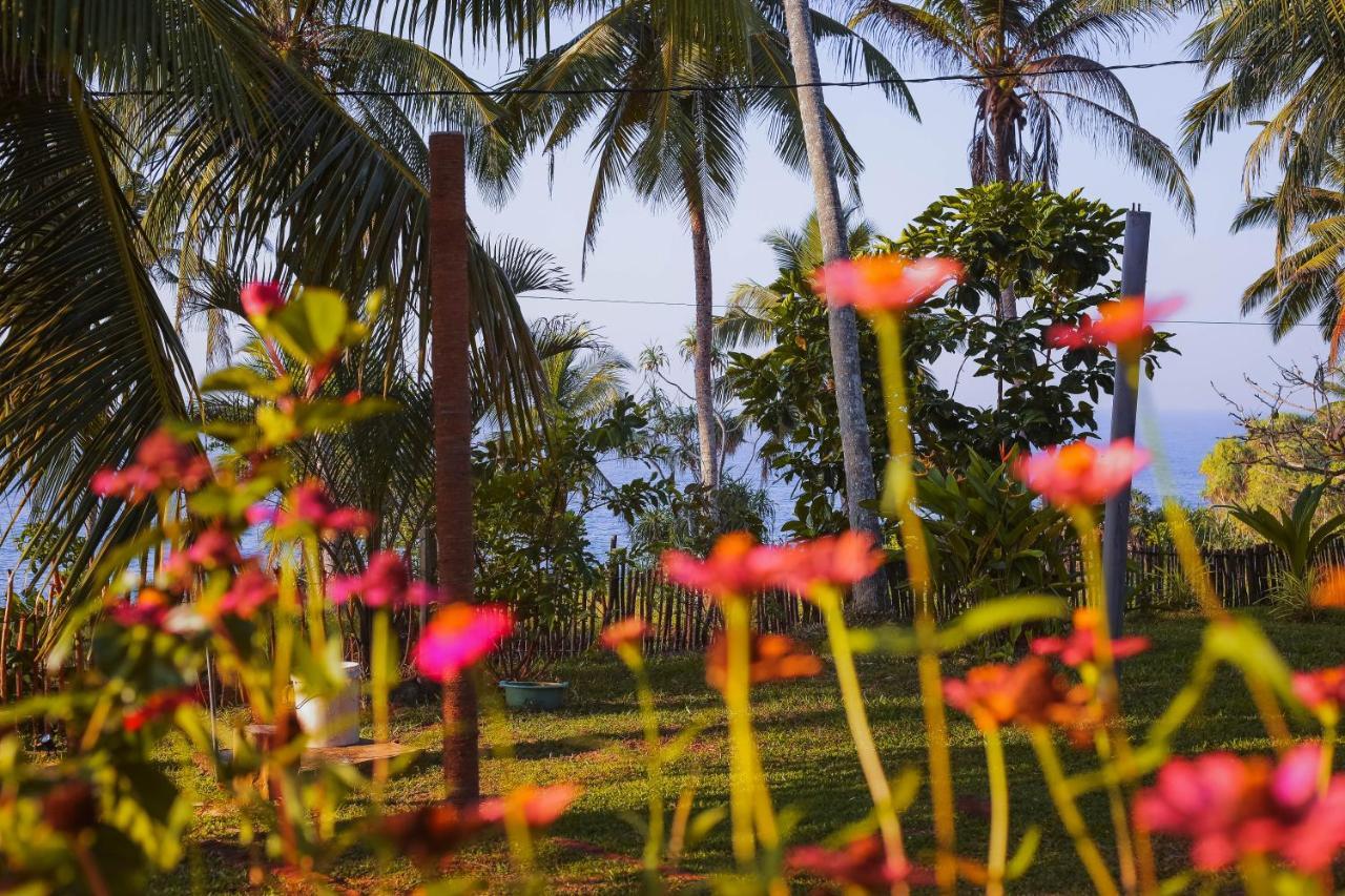 Tehan Homestay Dikwella Extérieur photo