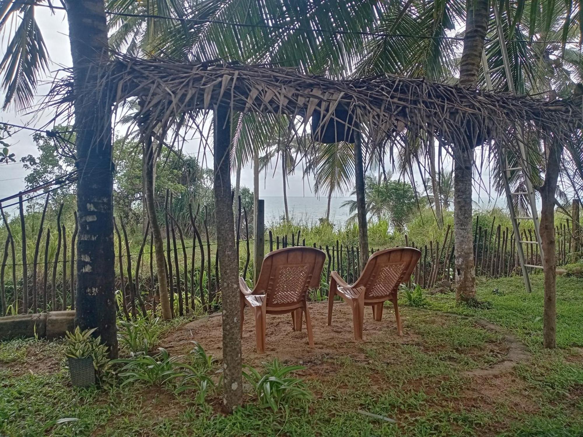 Tehan Homestay Dikwella Extérieur photo