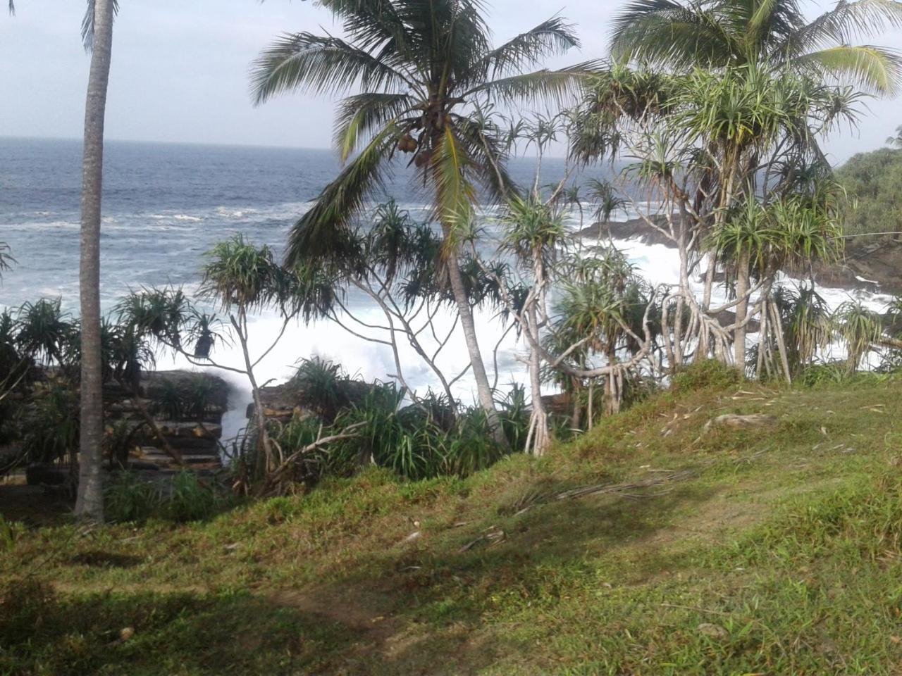 Tehan Homestay Dikwella Extérieur photo